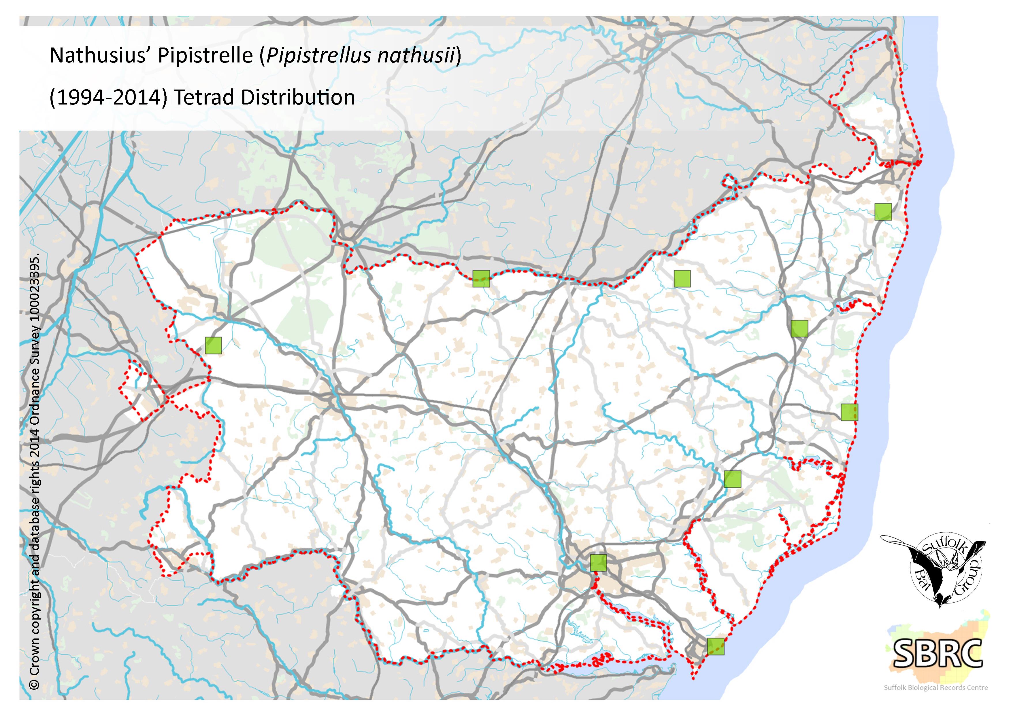 Nathusius’ pipistrelle bat distribution map