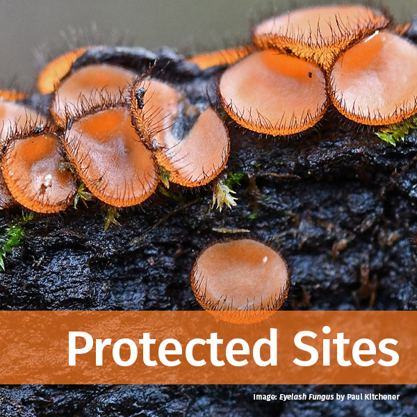 protected sites header