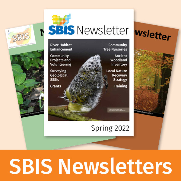 Three covers from recent issues of the SBIS newsletter