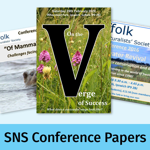 Three flyer images from recent SNS conferences
