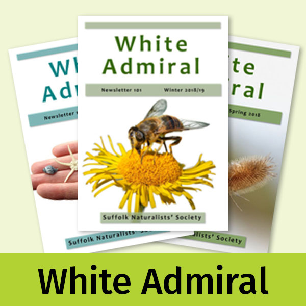 Three covers from recent issues of the White Admiral newsletter