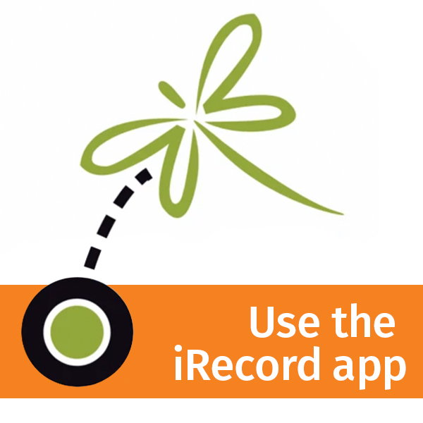 iRecord app logo
