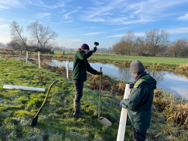 River Waveney at Homersfield with the River Waveney Trust