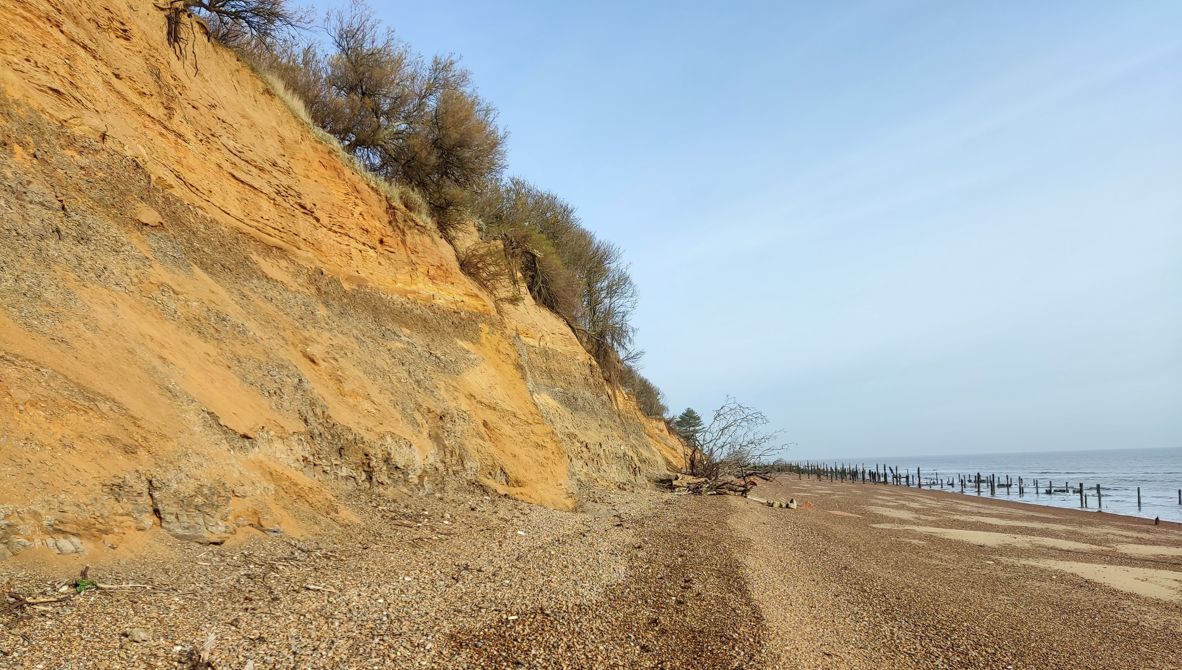 Bawdsey Cliff SSSI