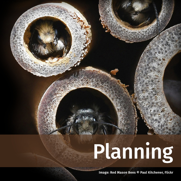 Link to Planning pages