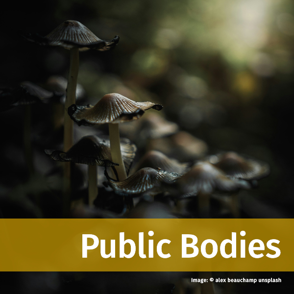 Link to Public bodies page