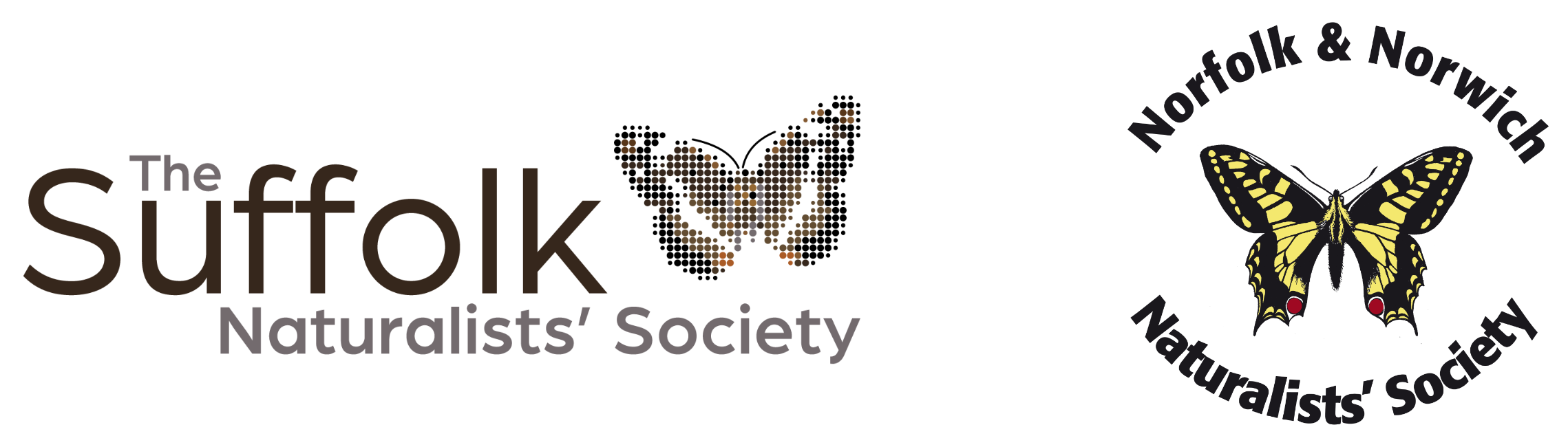 SNS and NNNS logo