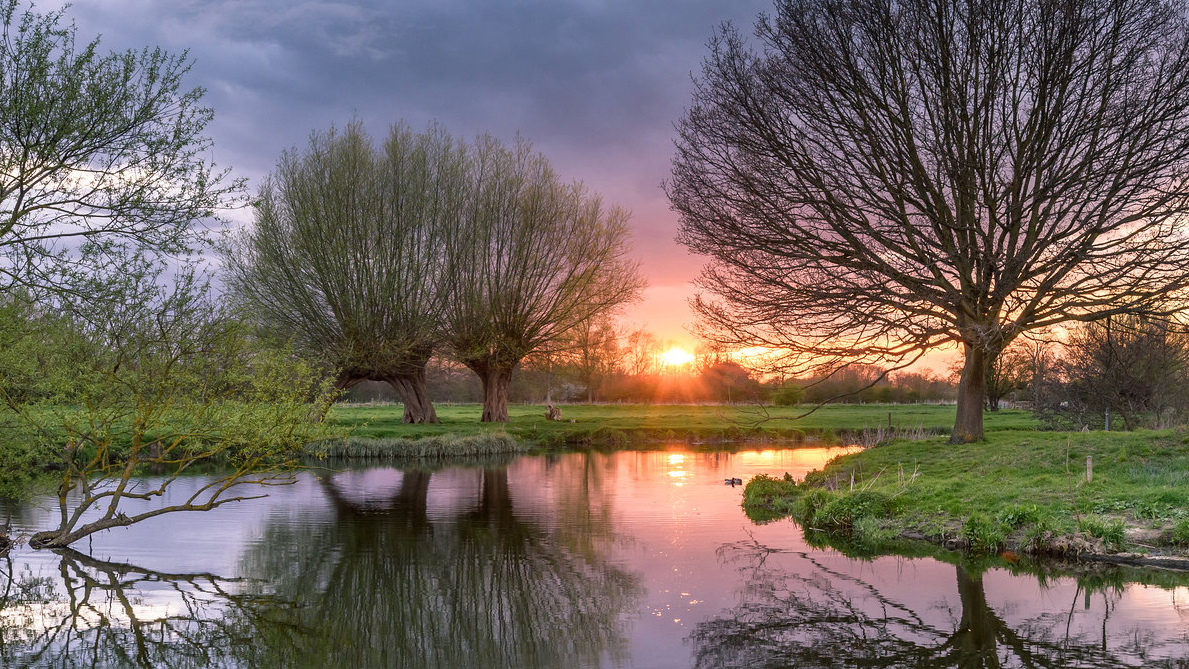 landscape view of a river flowing through grassy fields, lined by a few trees