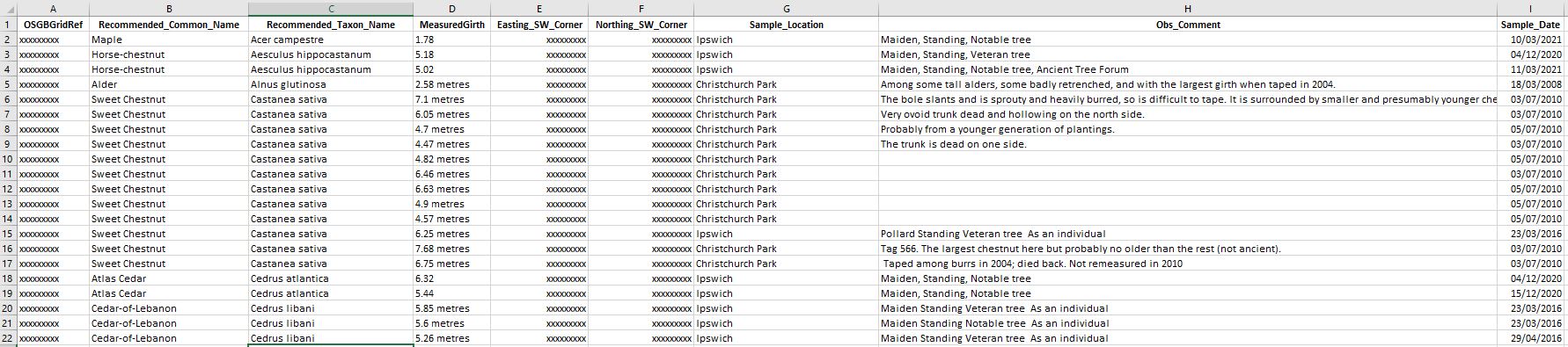 spreadsheet example