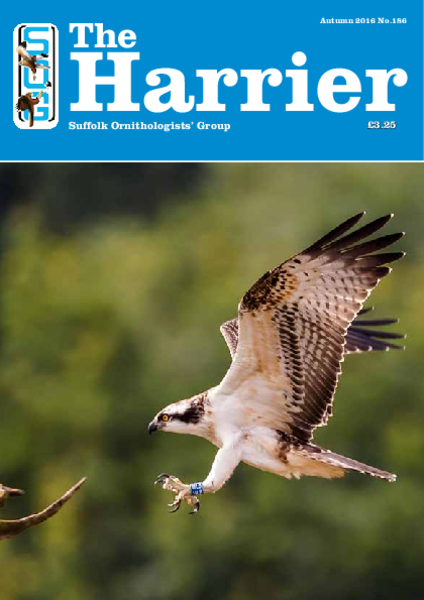 Harrier 186 – Autumn 2016