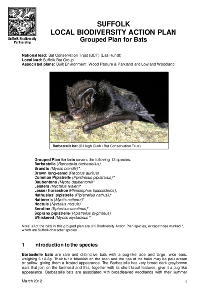 Bat Action Plan, 2012