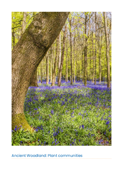 Click to open or download