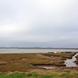 A river with tidal muflats