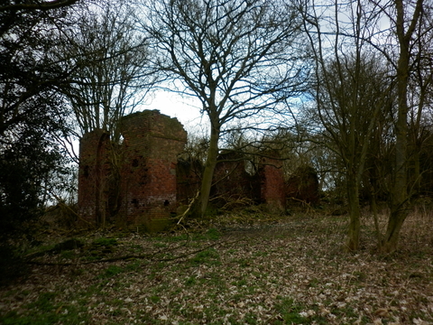 the remains of a building in woodland
