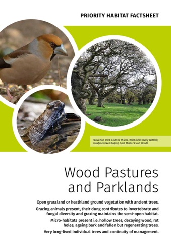 Archived Habitat Factsheet (PDF, 2020) Superseded – provided for reference only.