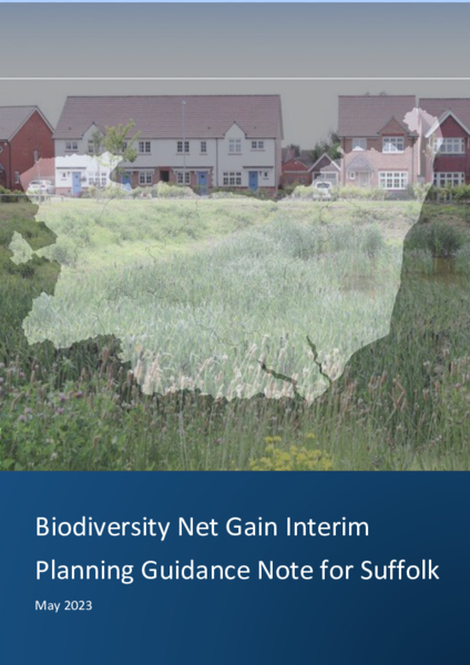 BNG Interim Planning Guidance Note for Suffolk