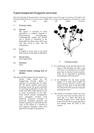 Archived action plan, 2000